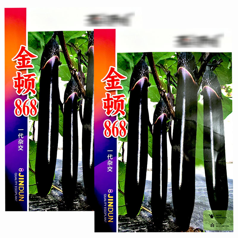 金顿868长茄子种子早熟杂交黑亮光泽大田基地品种