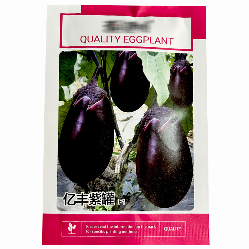 亿丰紫罐茄子种子牛心茄早熟果实大菜农大田基地种植