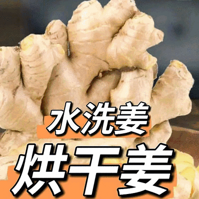山东大黄姜/产地常年供【水洗姜/风干姜】坏烂包赔全国发货