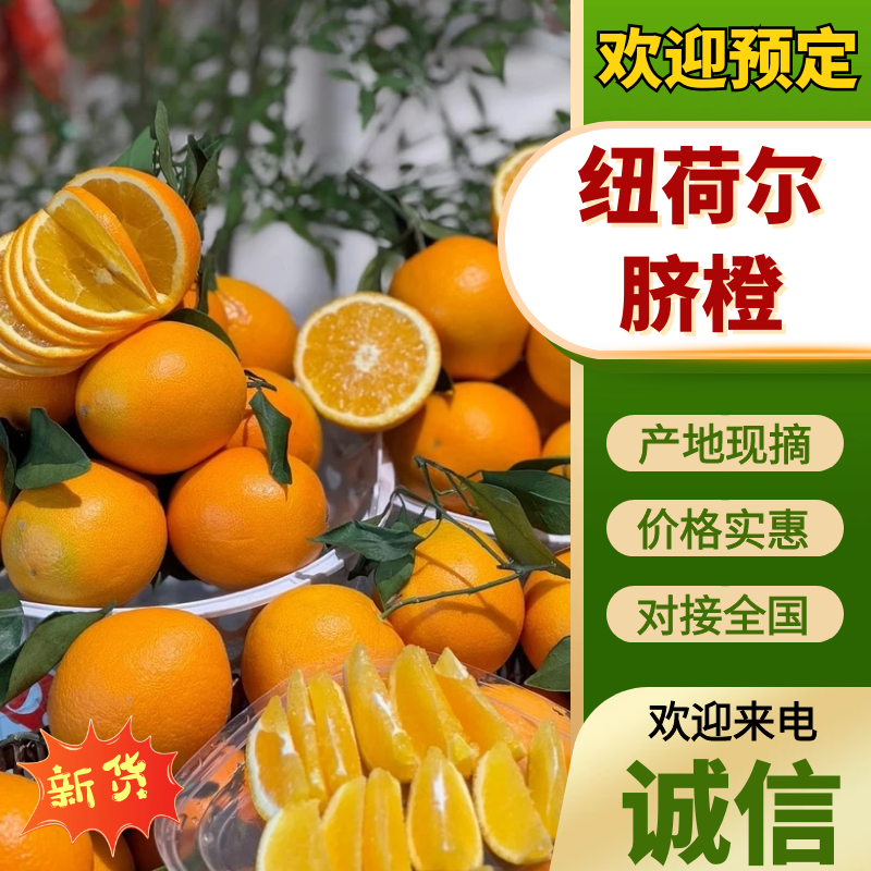 【放心购买】湖南纽荷尔脐橙现摘现发支持视频和实地看货