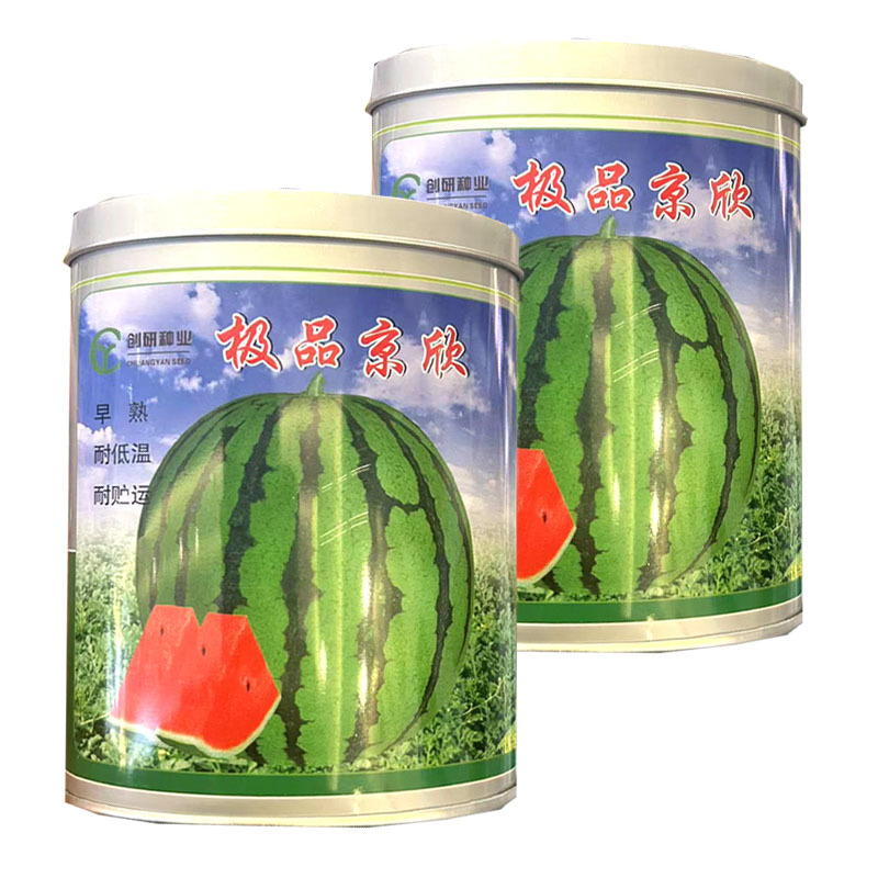京欣西瓜种子早熟耐低温圆果型薄皮麒麟西瓜种子耐贮运