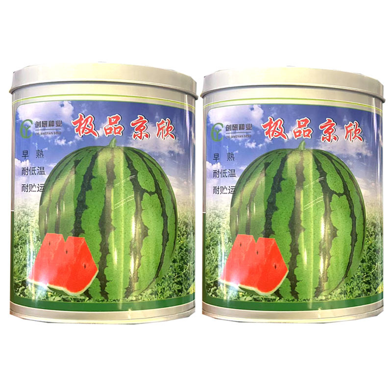 京欣西瓜种子早熟耐低温圆果型薄皮麒麟西瓜种子耐贮运