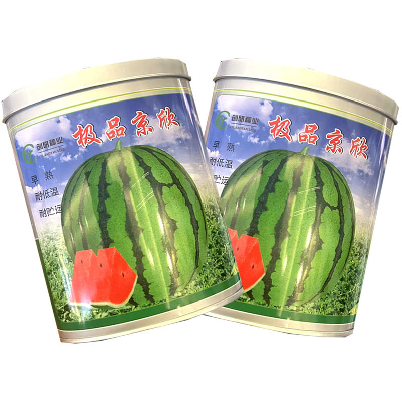 京欣西瓜种子早熟耐低温圆果型薄皮麒麟西瓜种子耐贮运