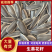 【电商】生葵花籽瓜子大量供应电商货商超货支持一件代发