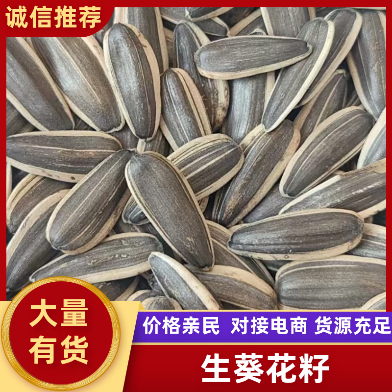 【电商】生葵花籽瓜子大量供应电商货商超货支持一件代发
