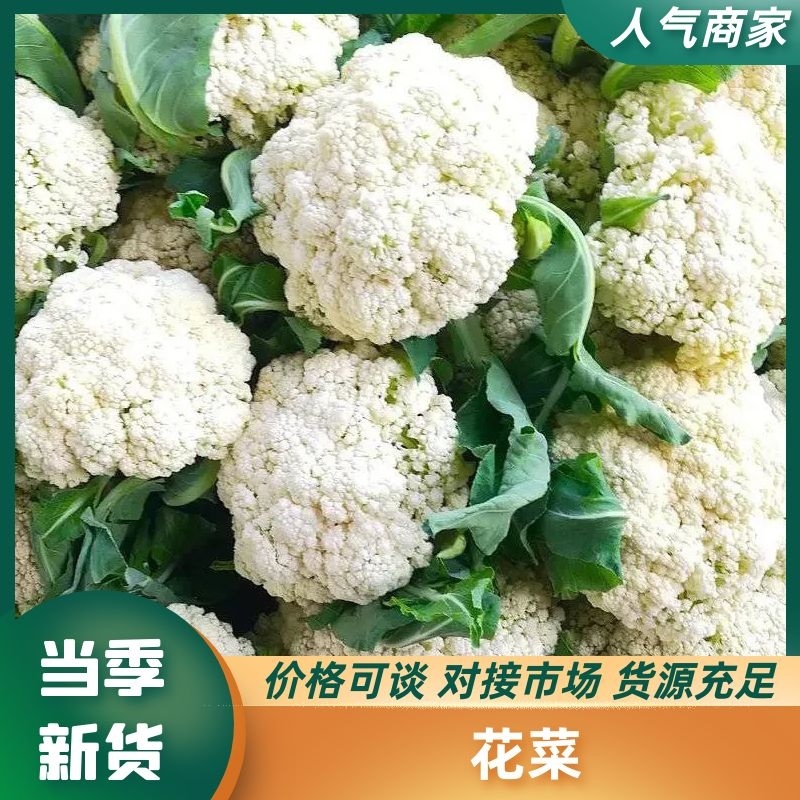 安徽松花菜基地直发一手货源，视频看货电话联系