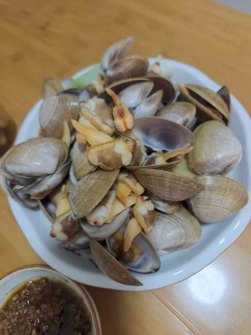 东港当地大黄蚬子黄蛤黄皮子视频看货厂地批发零售可团购接单
