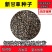 甘草种子甘草籽支持批发零售包邮