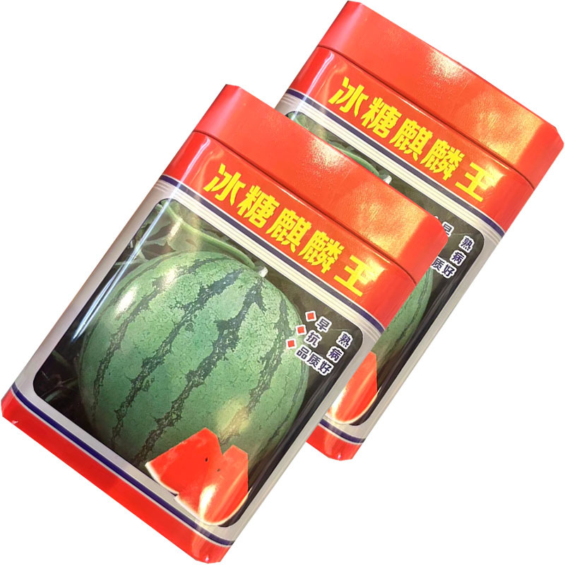 冰糖麒麟王西瓜种子早熟抗病圆果形易坐果大田基地种植