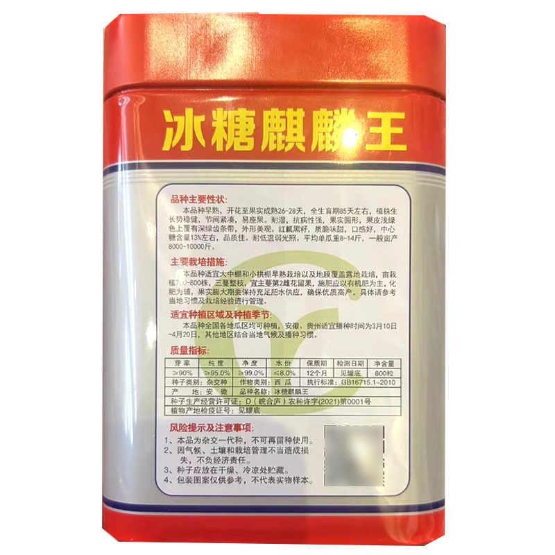 冰糖麒麟王西瓜种子早熟抗病圆果形易坐果大田基地种植
