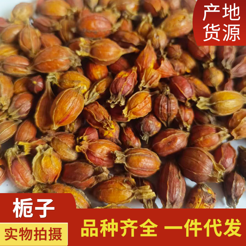 栀子红栀子江西栀子道地药材中药材批发供应品种齐全