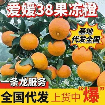 【精选】爱媛果冻橙/爱媛38橙/四川橙子/产地代发全国