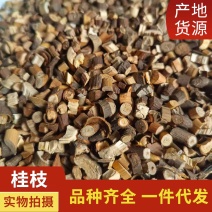 中药材桂枝桂枝尖道地药材规格齐全中药材批发供应