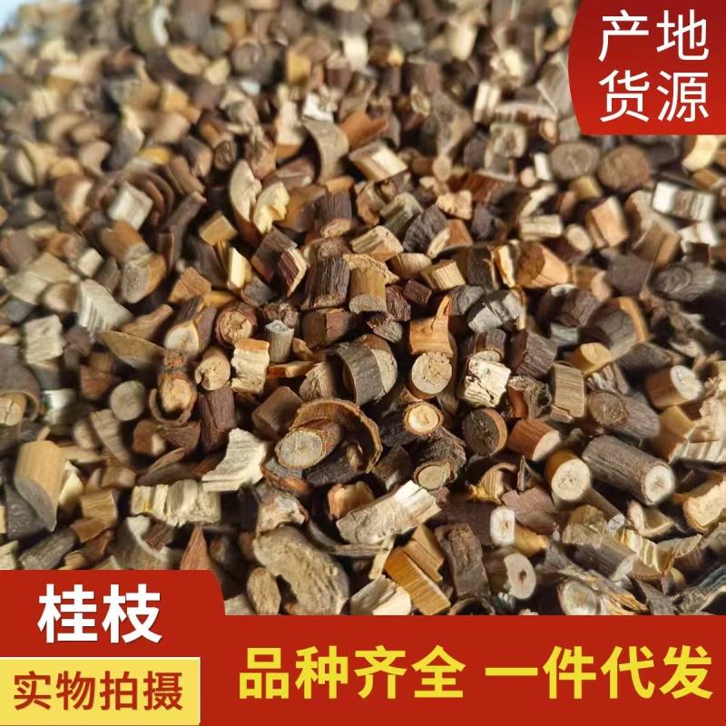 中药材桂枝桂枝尖道地药材规格齐全中药材批发供应