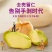 去壳开心果仁盒紫衣绿仁整颗烘焙原料坚果盐焗