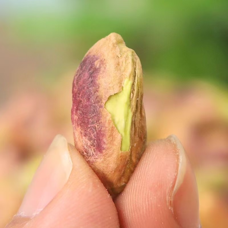 去壳开心果仁盒紫衣绿仁整颗烘焙原料坚果盐焗