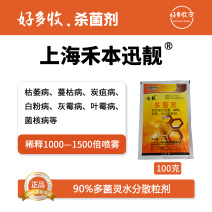 上海禾本迅靓90%多菌灵水分散颗粒剂100克