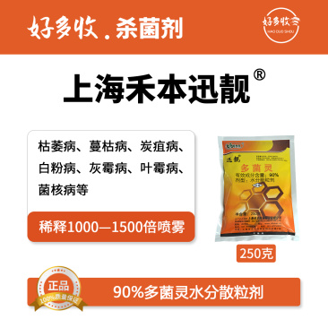 上海禾本迅靓90%多菌灵水分散颗粒剂250克