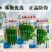 【善椒小青辣】基地优选樟树港辣椒种子高品质早熟皱皮小尖椒