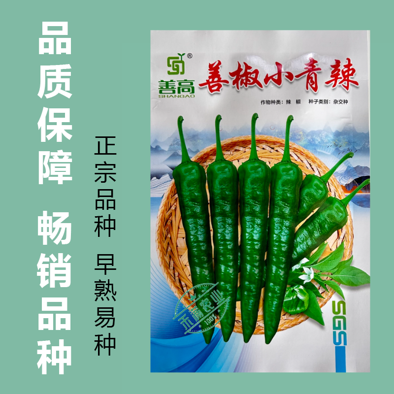 【善椒小青辣】基地优选樟树港辣椒种子高品质早熟皱皮小尖椒