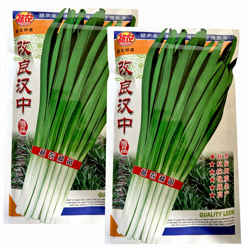 韭菜种子改良汉中大叶宽叶肥厚浓绿韭菜种子抗寒