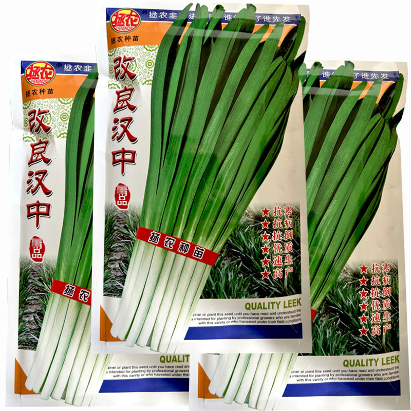 韭菜种子改良汉中大叶宽叶肥厚浓绿韭菜种子抗寒