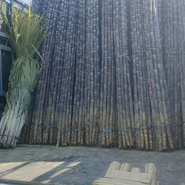 广西精品黑皮甘蔗，新鲜现货速发，产品保质保量欢迎选购