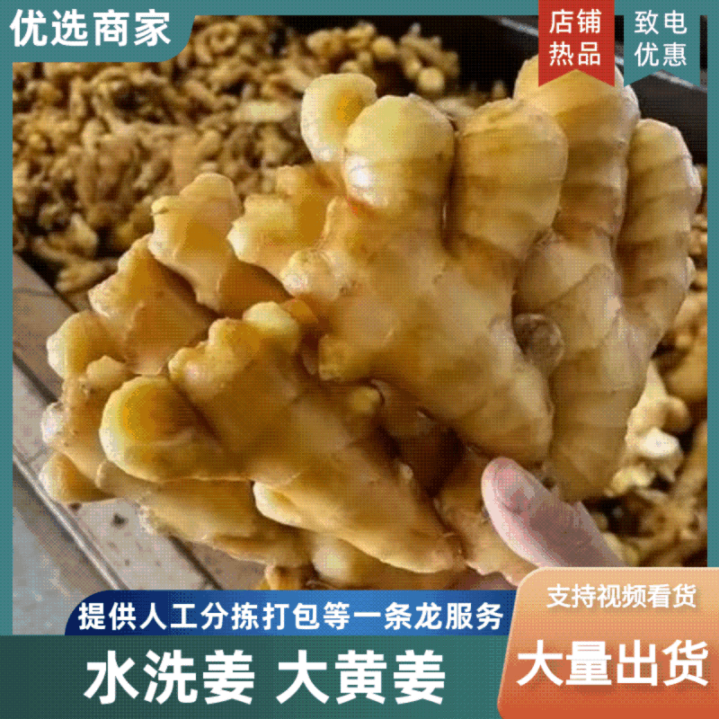 小黄姜【优质生姜】水洗姜规格齐全，没有你找不到的货