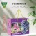 阳光玫瑰通用礼盒晴王巨峰葡萄精品礼盒厂家直销