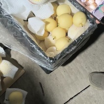 皇冠梨精品推荐河北赵县大量现货一手货源可视频看货