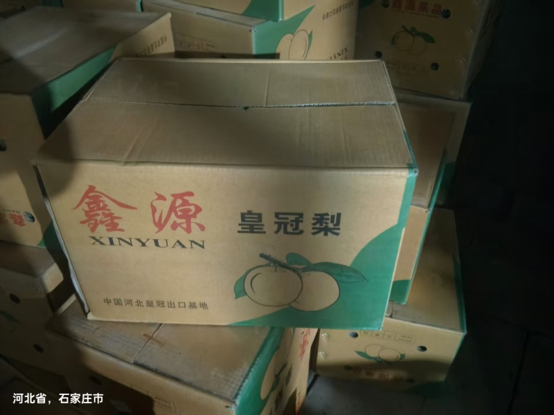 皇冠梨精品推荐河北赵县大量现货一手货源可视频看货