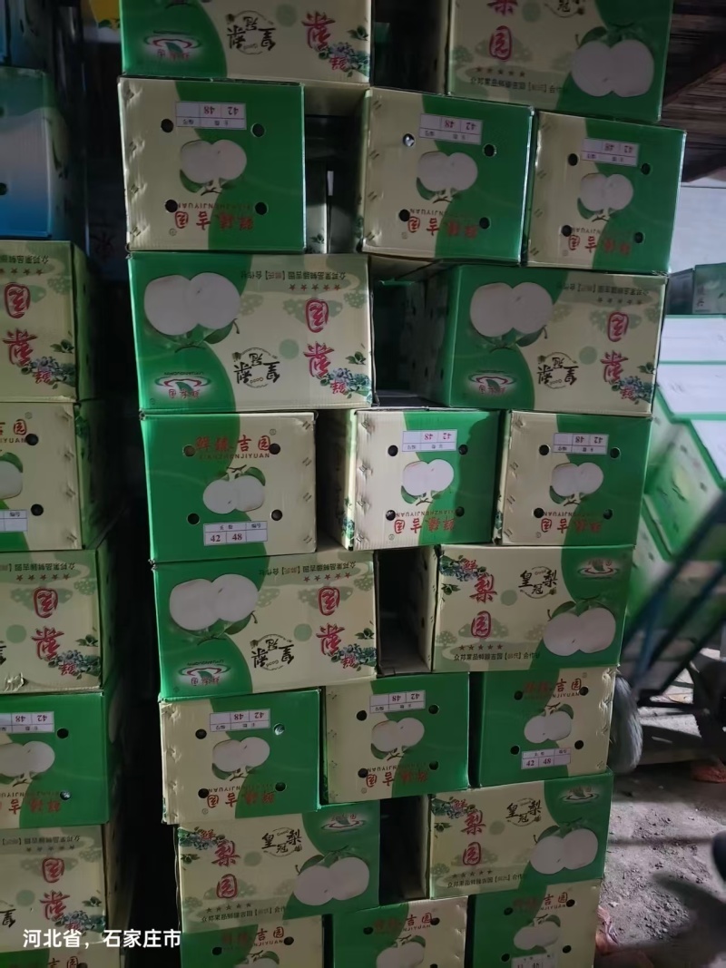 皇冠梨精品推荐河北赵县大量现货一手货源可视频看货