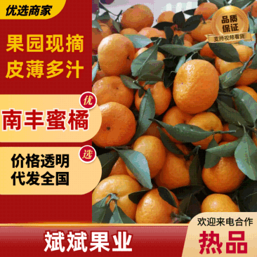 江西南丰蜜橘密广，货量充足，对接商超，电商，社区团购