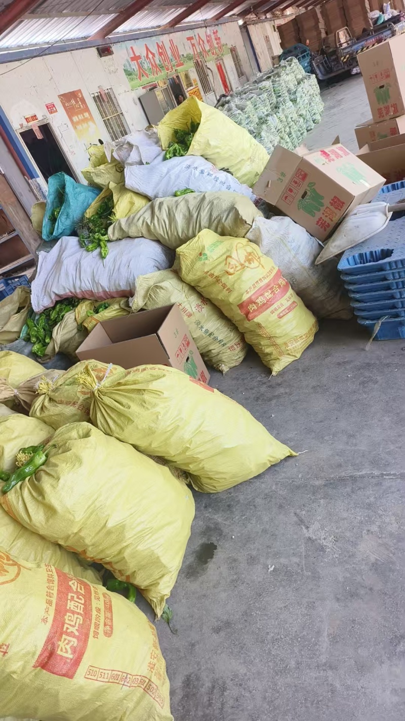 【精选芜湖椒】江苏淮安基地直供质量保证货源充足全国发货