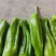 【精选芜湖椒】江苏淮安基地直供质量保证货源充足全国发货