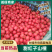 山东山楂甜红子山楂大量现货供应，品种齐全，视频看货