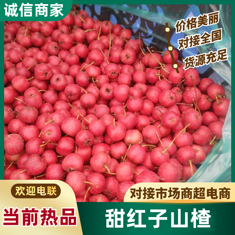 山东山楂甜红子山楂大量现货供应，品种齐全，视频看货