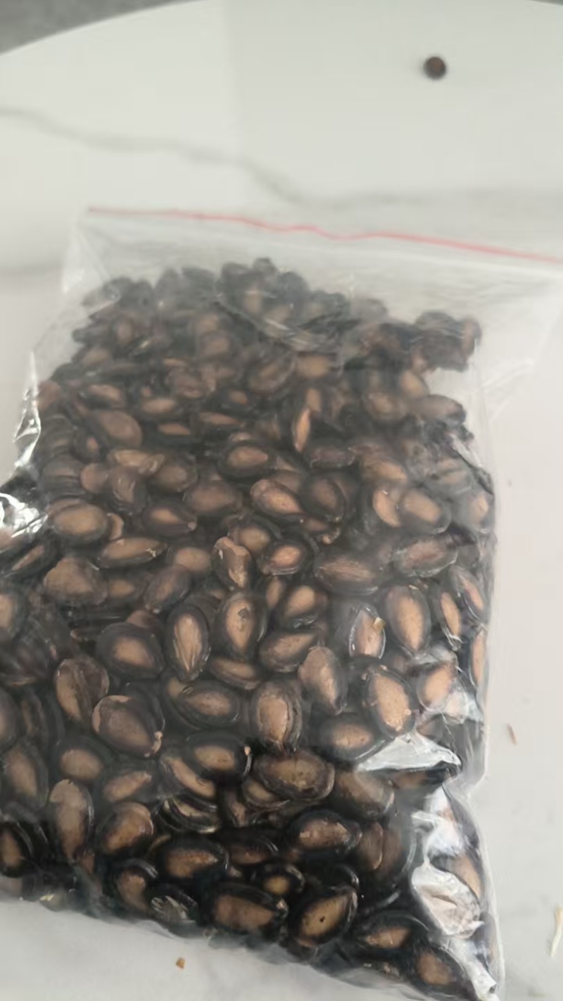 精品西瓜子品质保证价格优惠实力商家产地直发欢迎