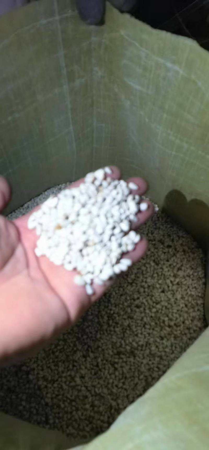精品红花籽品质保证价格优惠实力商家产地直发