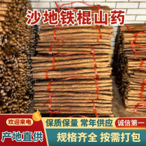 【包邮】2025新货温县沙地铁棍山药，原产地发货