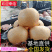 新高梨【精选】莱阳梨对接批发市场/商超/出口/上货中