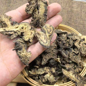 升麻云南野生中药材升麻黑升麻周升麻鬼脸升麻北升麻