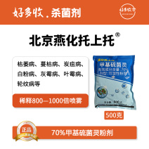 北京燕化托上托70%甲基硫菌灵可湿性粉剂500克