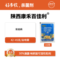 陕西康禾立丰百佳利30%溴菌.咪鲜胺可湿性粉剂15克