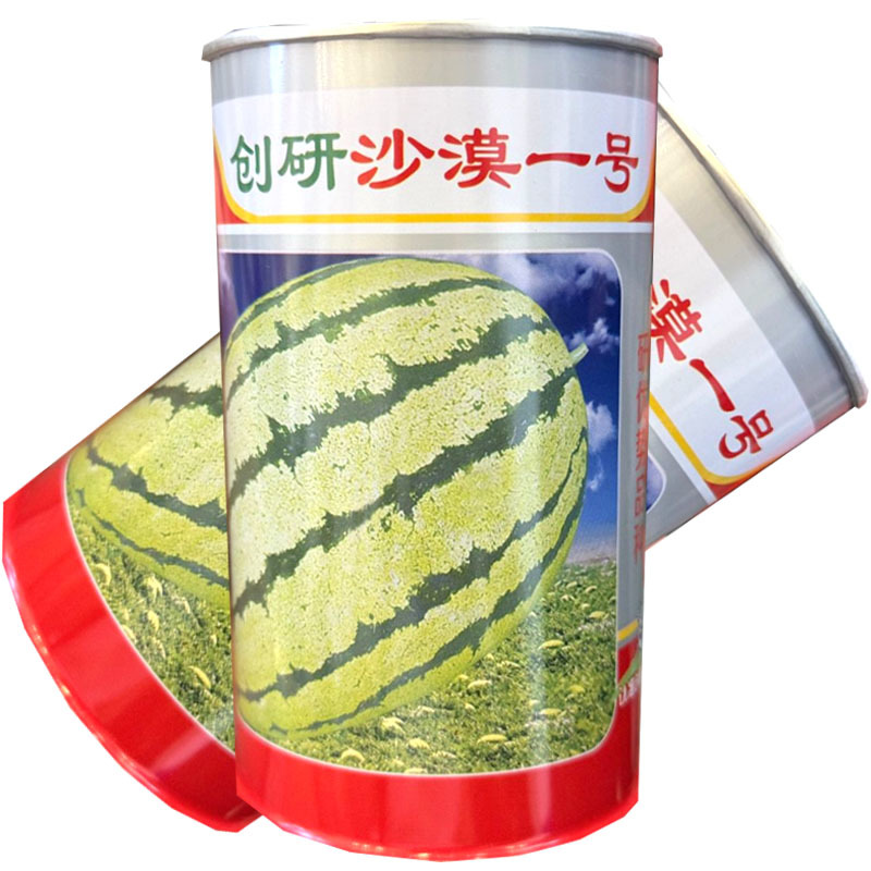沙漠一号西瓜种子大红瓤花皮椭圆西瓜种籽易坐果皮薄耐贮运