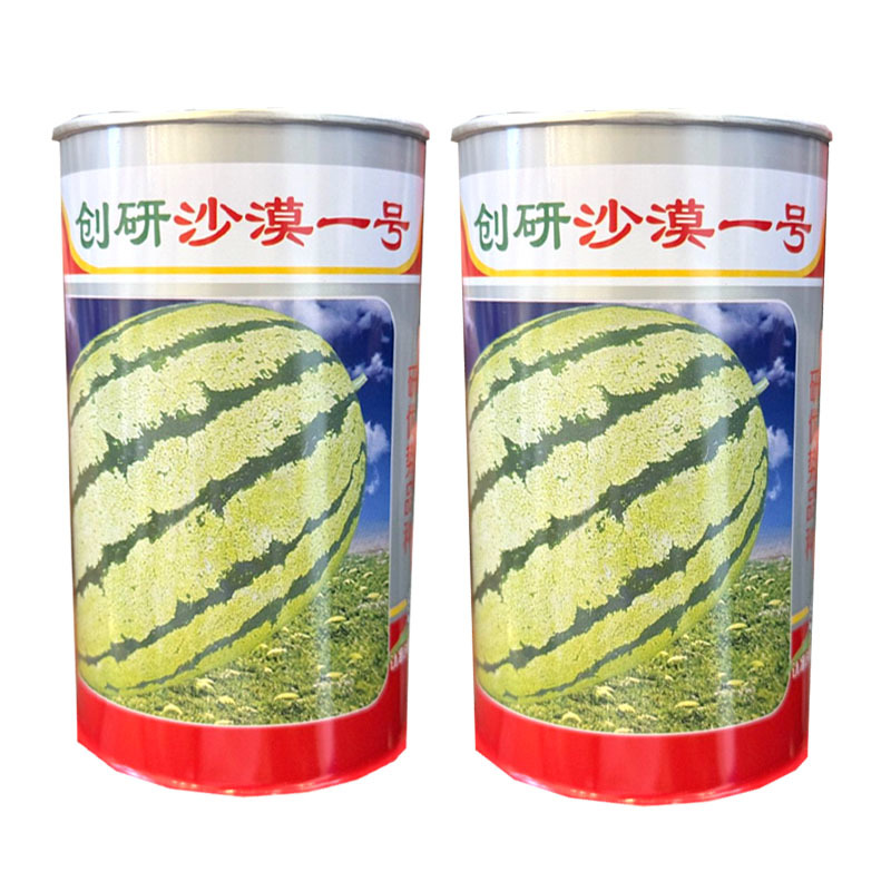 沙漠一号西瓜种子大红瓤花皮椭圆西瓜种籽易坐果皮薄耐贮运
