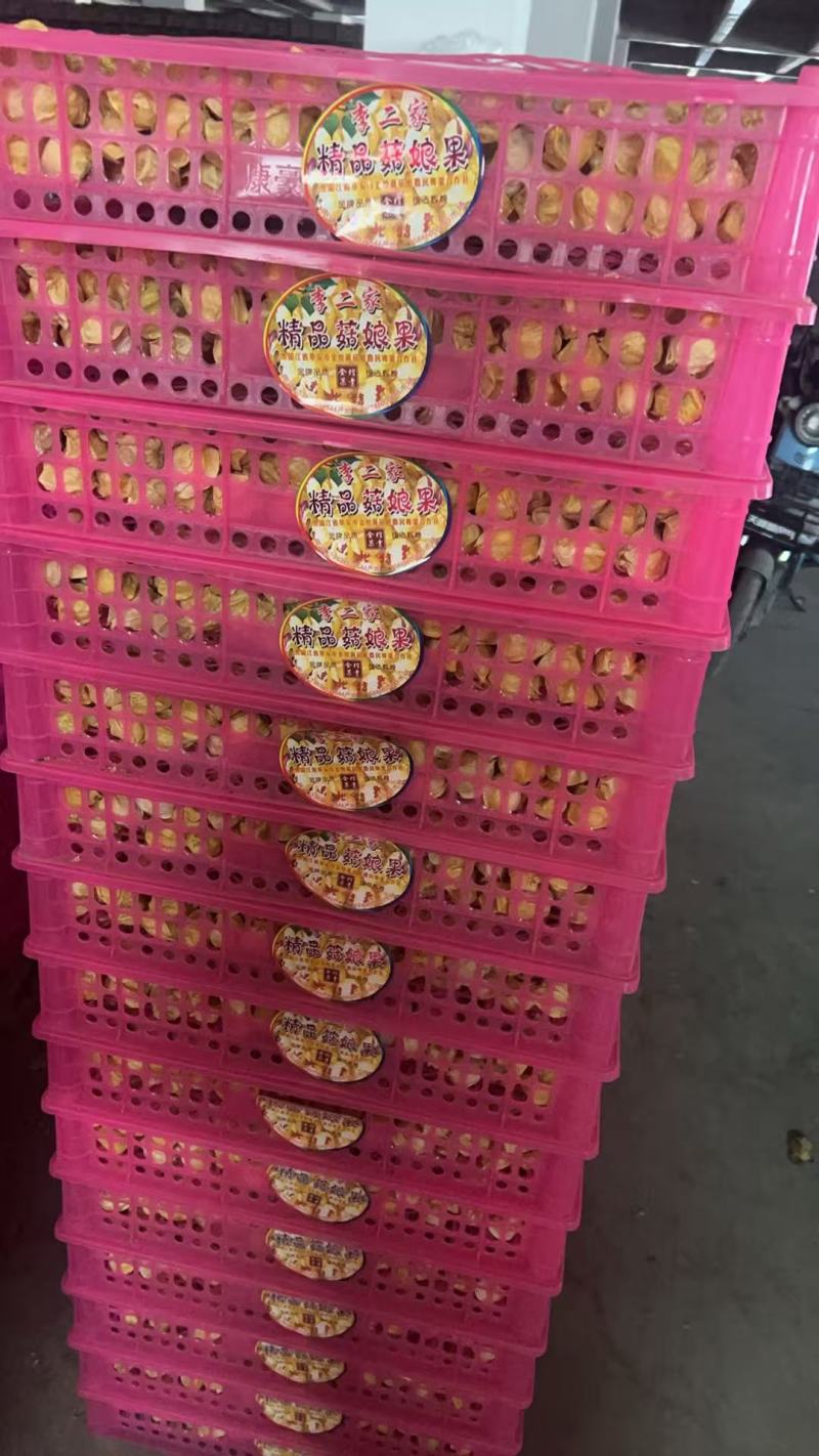 精品黄姑娘，姑娘果大量新鲜现货速发，产品保质保量