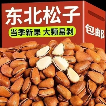 原味东北松子大颗粒手剥开口松子休闲零食坚果炒货
