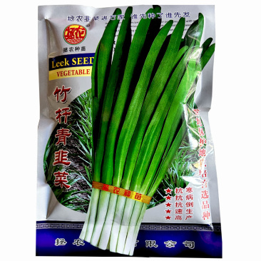 竹杆青韭菜种子叶片宽大厚叶色浓绿韭菜味浓香大叶韭菜种子