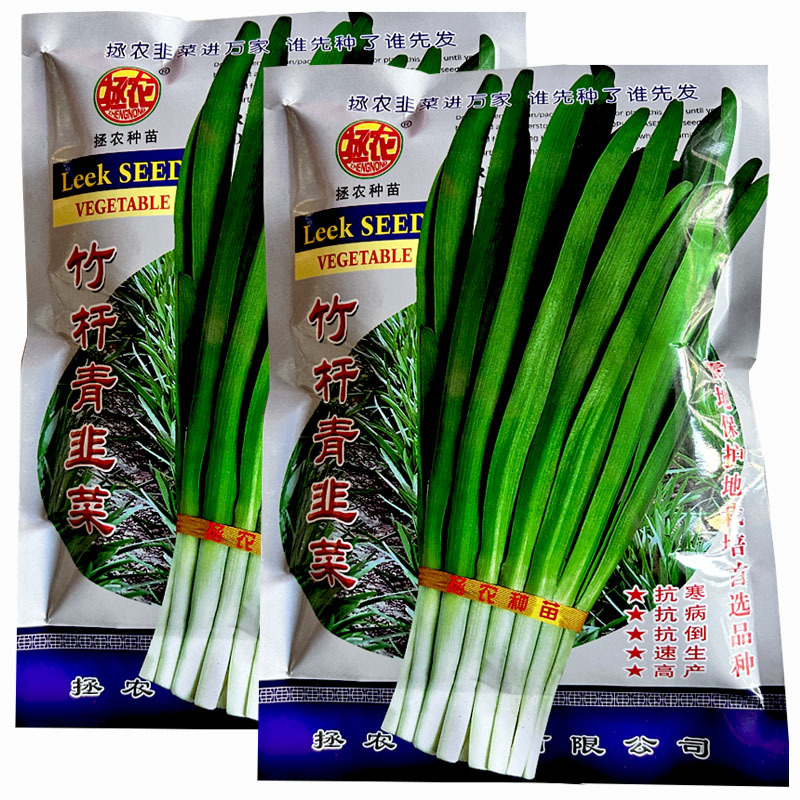 竹杆青韭菜种子叶片宽大厚叶色浓绿韭菜味浓香大叶韭菜种子